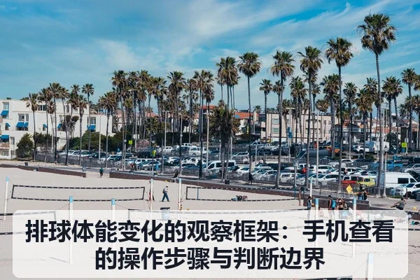 排球体能变化的观察框架：手机查看的操作步骤与判断边界